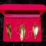 24K Heavy Gold Dipped Maile Earrings and Necklace Set by Hawaiian Heirloom Lei