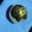24K Gold Plated Single Kukui Nut